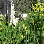 Hotel Le Pre Catelan Juan-les-Pins